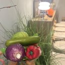 세련농장 이미지