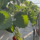 여주-0480 이미지