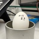 사강우체국 | Daily Story (26.3.15)