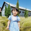 서하목장 이미지