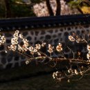 퇴미2공원1 이미지