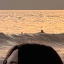이마필러가 3개월만에 꺼져부렀어요… 이미지