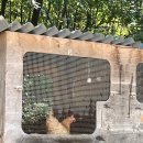 환희네 꿀벌농원 이미지