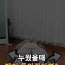 전신근력운동 Daum카페