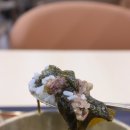 정오의식탁 - 화성시 | 신촌세브란스맛집 암병동 지하 메종플레이트 정오의식탁 후기