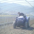 동박골농장 이미지