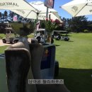 금빛 민박 이미지