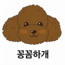 꽁꼼하개 이미지
