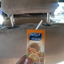 신성약국 | 이집트 여행 5일차_콤 옴보 에드푸, 룩소르 펠루카 투어_Feat.벨리손 투어(2)