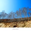 안강제일유치원 | 강원도여행/인제 속삭이는 자작나무숲&amp;홍천 천년고찰. 수타사【17년2월16일】