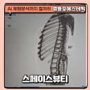 늘맑은에스테틱