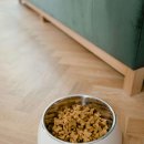 별이 펫푸드 이미지