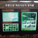 무릉도원올레 이미지