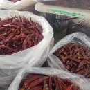 해풍농장 이미지