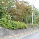 가곡마을 입구 이미지