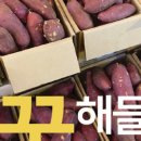 달달청과 이미지