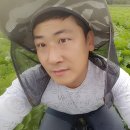 용운농장 이미지