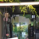 정명약국 이미지