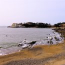 궁항신용횟집