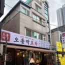 오돌뼈막창 | 왕십리 한양대 술집 [오돌막포차] 막창구이 오돌뼈볶음 후기