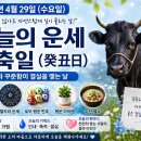 단비 - 2254 | 단비