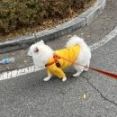 배박사 동물병원 이미지