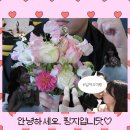 도보소프트 | 청담피부과 실루엣소프트 민트실리프팅 후기｜팔자주름 얼굴실리프팅 전후 효과