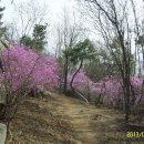 카타나 펜션 이미지