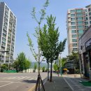 투다리 권곡점 | 천안 아산 휴대폰 성지에서 싸게 사는법
