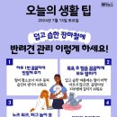 주영전기조명