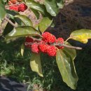 기두농장 이미지