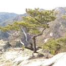 과천시청 이미지