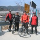 마리장풍숲 이미지