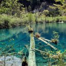 관광중국어 이미지