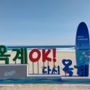 알로하카페 - 8730 | 알로하카페