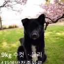 중거리마을회관 이미지