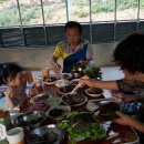 평창신씨네 자연방사 닭농장 이미지