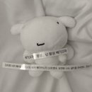 씨네필2 이미지