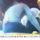 황제보트 Daum카페