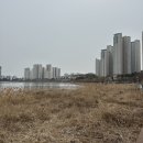 두강곱창 광교본점 | 영통구 맛집 단골이 되고 싶을 정도로 알찬 두강곱창 광교본점 후기