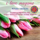 03월29일 금요일 날씨(백령도,연평도,강화도) 이미지