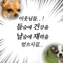 동그마니 | 용소, 동그마니 뜻[문해력을 기르는 어휘력50]