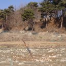 죽동리 이미지