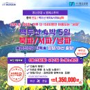 엠에스투어 이미지
