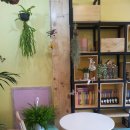 꽃뫼로_1 이미지