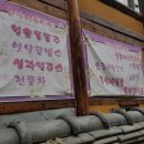 하늘이푸른숲