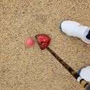 뉴파크장 이미지