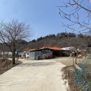 산채뜰 | 강원도 문배마을 맛집 산채비빔밥 도토리묵 감자전 된장찌개 찐후기