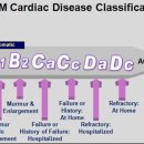 안산 센트럴 동물병원 이미지