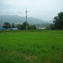 햇님쉼터한의원 이미지